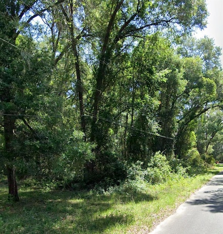3319 E Crown Dr, Hernando, FL 34453