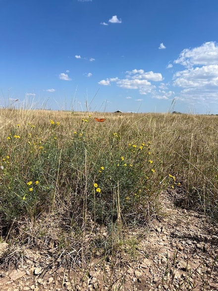 12522 Rasberry Ln Unit 2, Wall, TX 76904