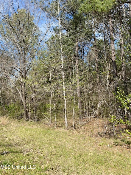 0 Dampeer Rd, Canton, MS 39046
