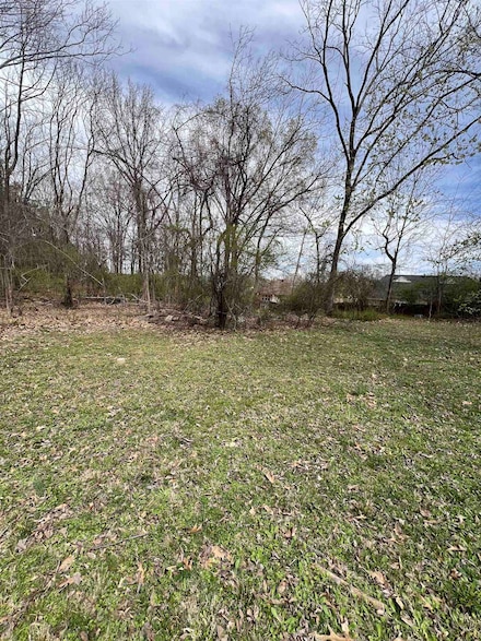 4382 Ellendale Rd, Bartlett, TN 38135