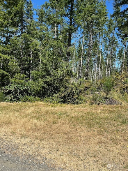 500 E Morris Creek Dr, Belfair, WA 98528