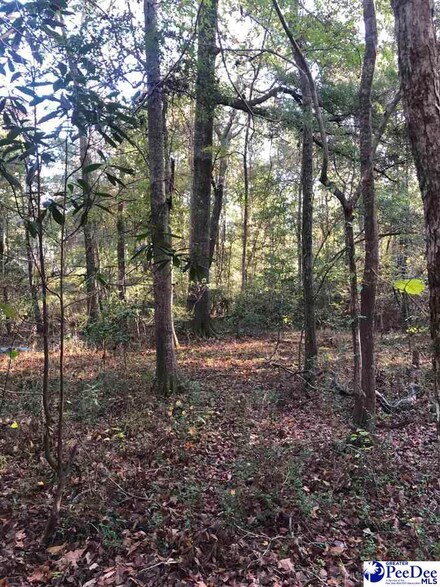 TBD Pineview St, Darlington, SC 29532