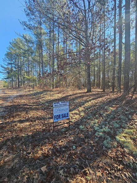 Lot 41 Lady Ashley Dr, Saint Matthews, SC 29135