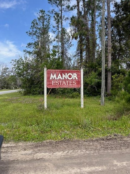 Lot 16 Stovall Ln, Manor, GA 31550