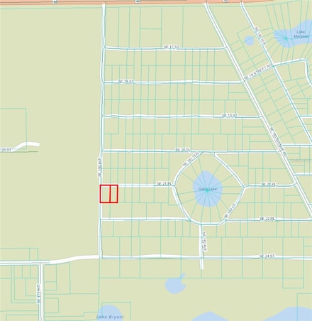 TBD SE 21st Place, Silver Springs, FL 34488