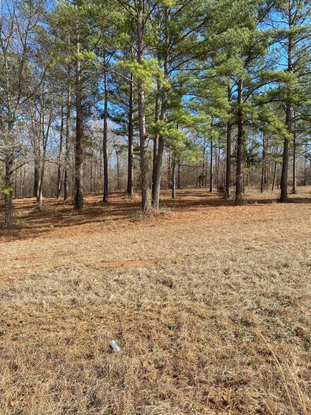 40 River Ridge Dr, Hawkinsville, GA 31036