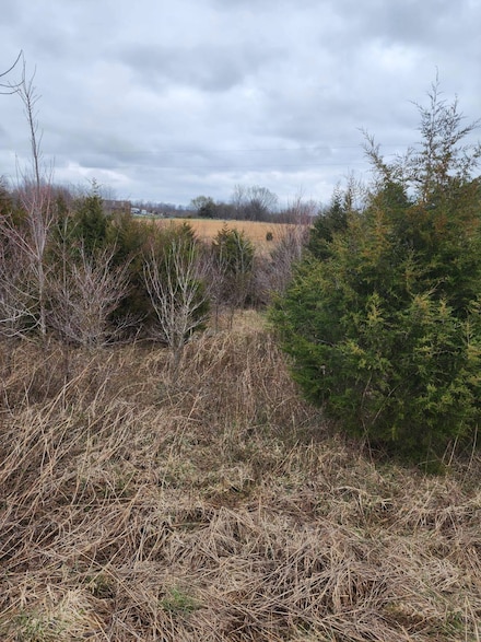 0 Summersville Coakley Rd, Greensburg, KY 42743