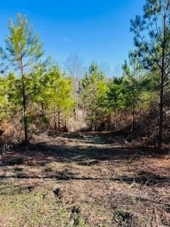 0 Walnut Grove Rd, Millport, AL 35576