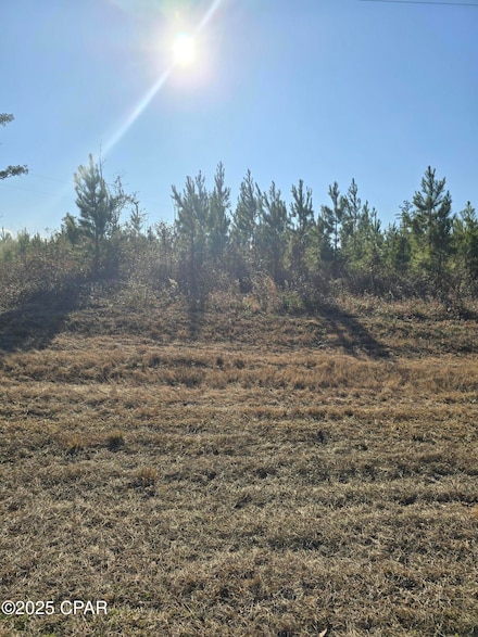 TBD Lot 2 Peanut Rd, Cottondale, FL 32431