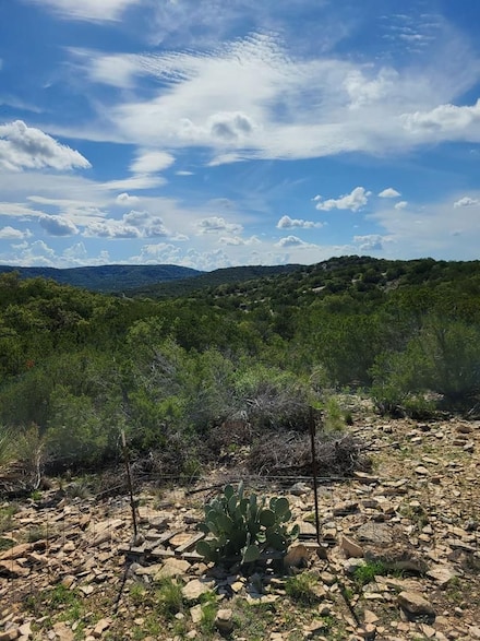 Lot 7 Sw Fm 2523, Rocksprings, TX 78880