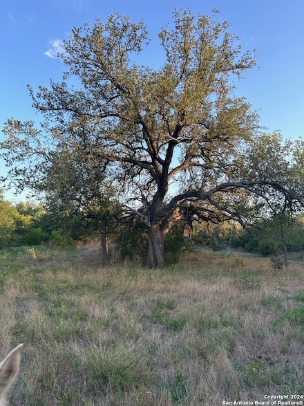 000 County Road 562, Devine, TX 78016