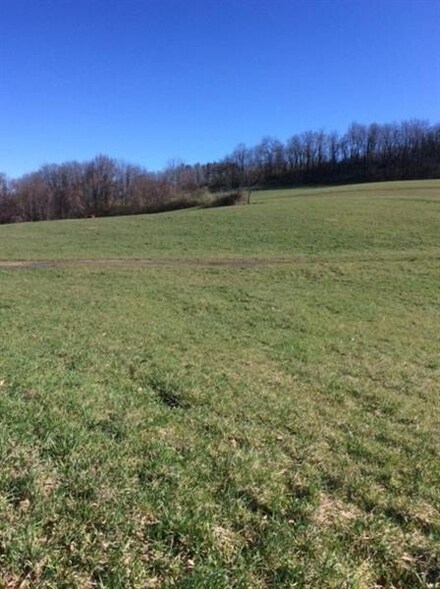 1 Steffy Rd, Marion Center, PA 15759
