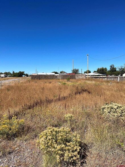 107 E 8th Ave, Antonito, CO 81120