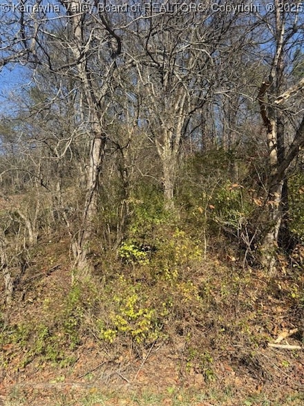 0 Kay Neva Ln, Charleston, WV 25312