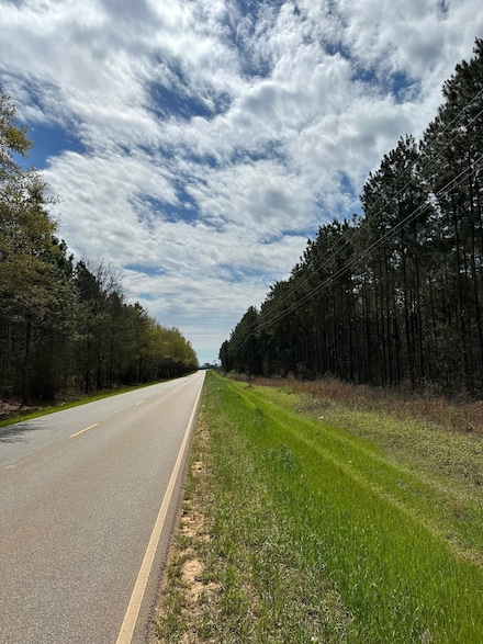 0 Butler St, McCullough, AL 36502
