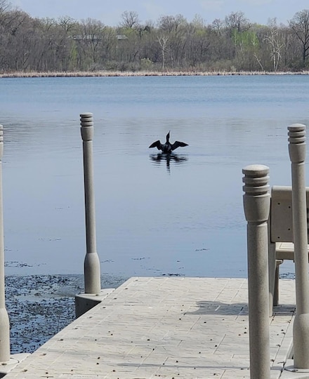 12814 Bittersweet Ln, St. Joseph Township, MN 56374