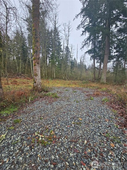 25933 96th Ave E, Graham, WA 98338