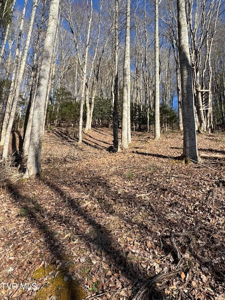 6020 Forge Creek Rd, Mountain City, TN 37683