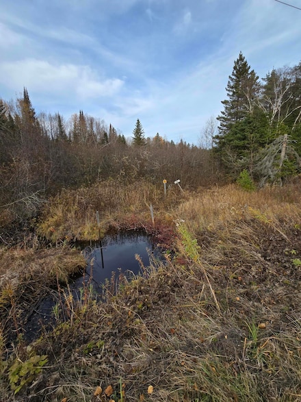 Parcel A Black Point Rd, Moran Township, MI 49760