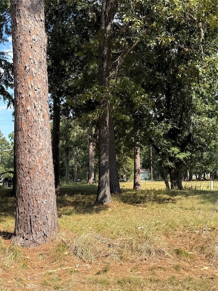 0 Peach Point Ln Unit 41040244, Trinity, TX 75862