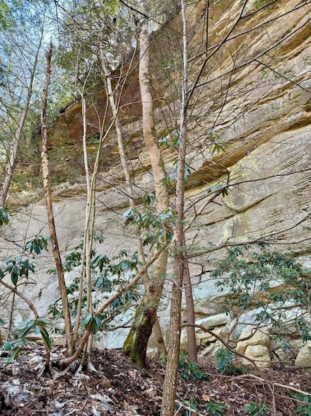0 Kentucky 52, Beattyville, KY 41311