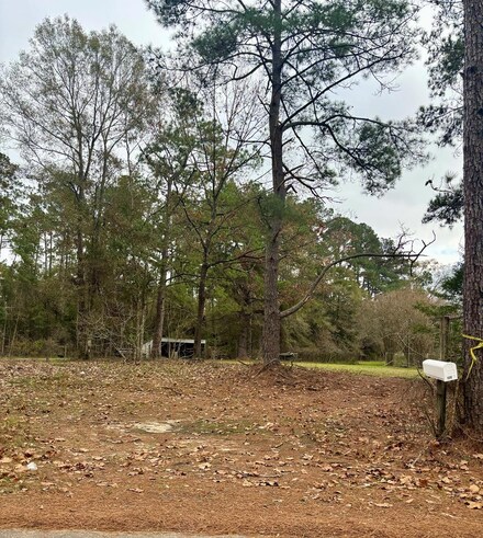 120 Will Thompson Rd, Picayune, MS 39466