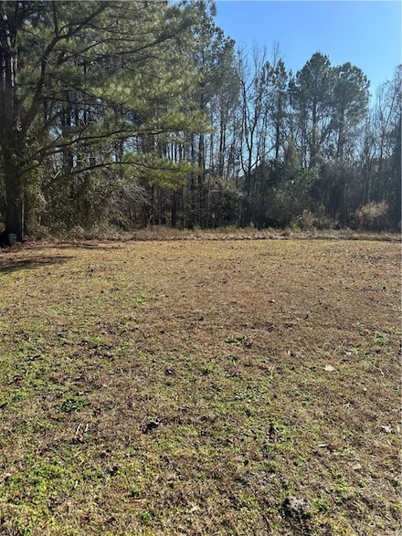 0026 0005001 Ga-251 Hwy, Townsend, GA 31331