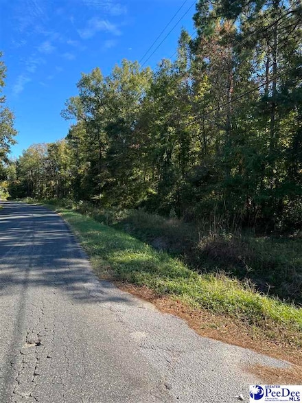 3801 Breckingridge Creek, Florence, SC 29505