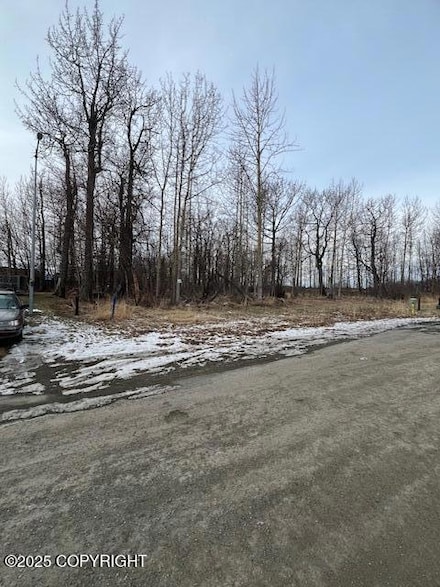 940 S Williwaw Dr, Palmer, AK 99645