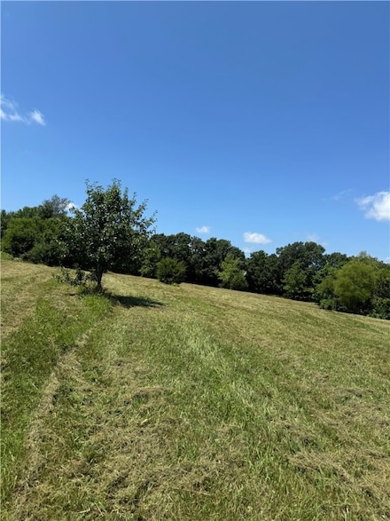 TBD Lot 24 Blockade Village N, Seligman, MO 65745