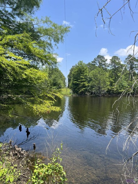 107 Old Levee Rd, Montgomery, LA 71454