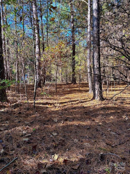 0 Cross Creek Dr Unit 261 CAR4231323, Rutherfordton, NC 28139