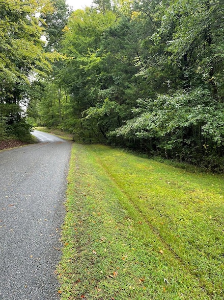 1,2,3 Buffalo Dr, Buffalo Junction, VA 24529