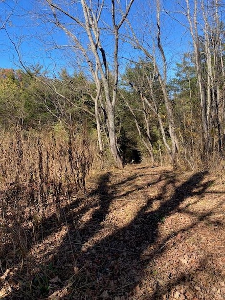 Lot 5 W Lee Hwy, Wytheville, VA 24382