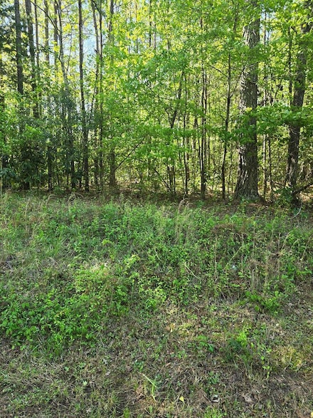 0 Hickory Cir Unit 220510, Waverly Hall, GA 31831