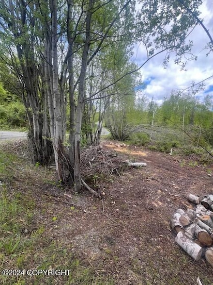 L7 W Erika Dr, Big Lake, AK 99652