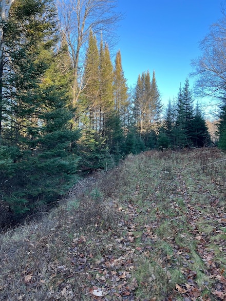7534 Cth D, Sugar Camp, WI 54521