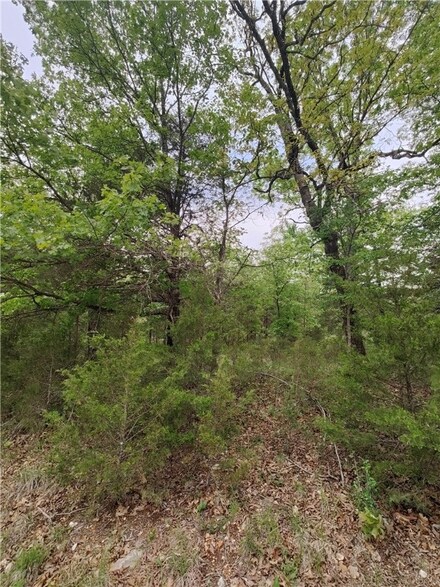 8 N Star Loop Unit 3, Holiday Island, AR 72631