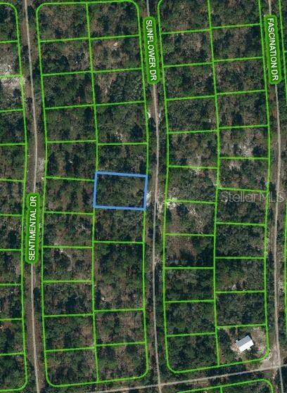 256 Sunflower Ave, Lake Placid, FL 33852