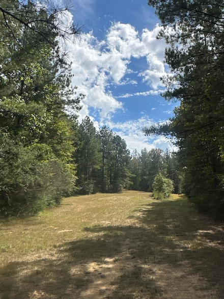 0 Berwick Cassels Rd, Gloster, MS 39638