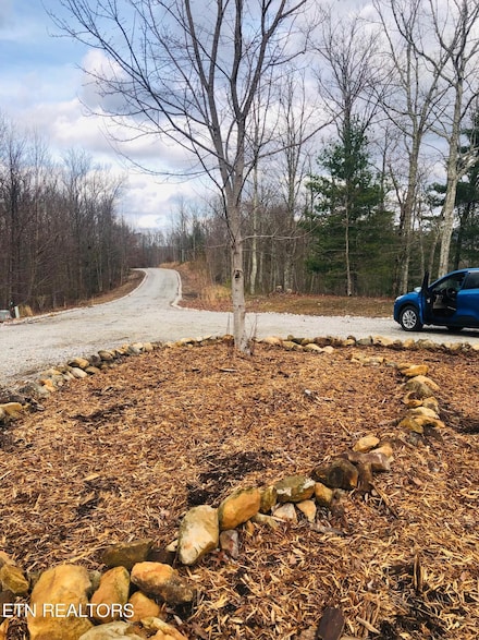 Lot 8 Coker Creek Trail, Tellico Plains, TN 37385