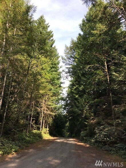 14561 Wiley Ln SE, Olalla, WA 98359