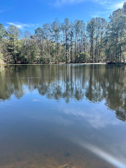 McKenzie Grade Rd, McKenzie, AL 36456