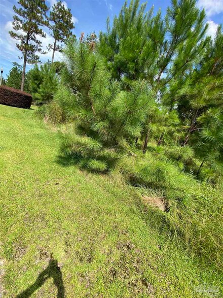 0 Juniper Creek Dr Unit Lot 47 & 48 595594, Brewton, AL 36426