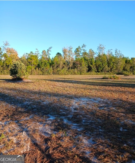 395 Mill Branch Rd, Folkston, GA 31537