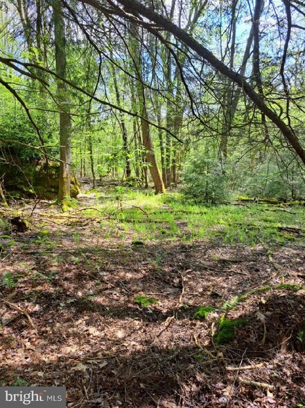 450 Deer Run Rd, Piney Mtn, MD 21550