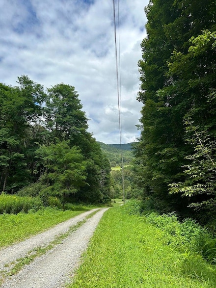 0 Tract Two Little Mountain Dr Unit 24-1562, Hillsboro, WV 24946