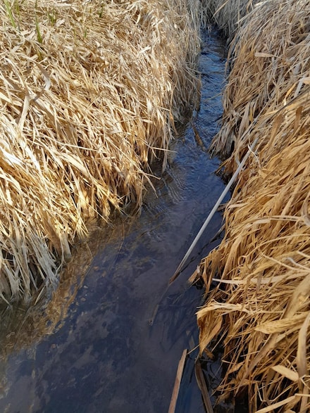 Approx 9 acres Highway 35 61 Rd, Bloomington, WI 53804