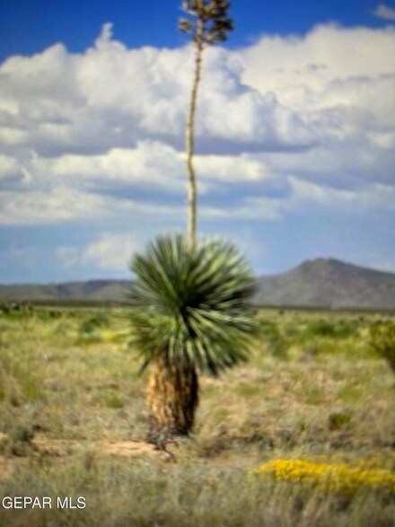 PN-75977 Bareback Trail, Sierra Blanca, TX 79851