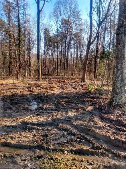 161 Air Harbor Rd, Greensboro, NC 27455